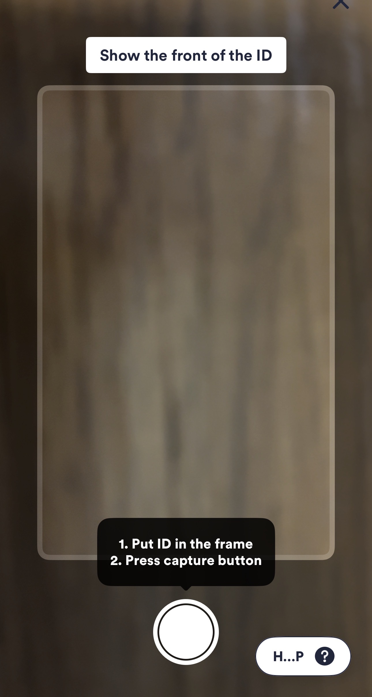 Manual capture (2).jpg