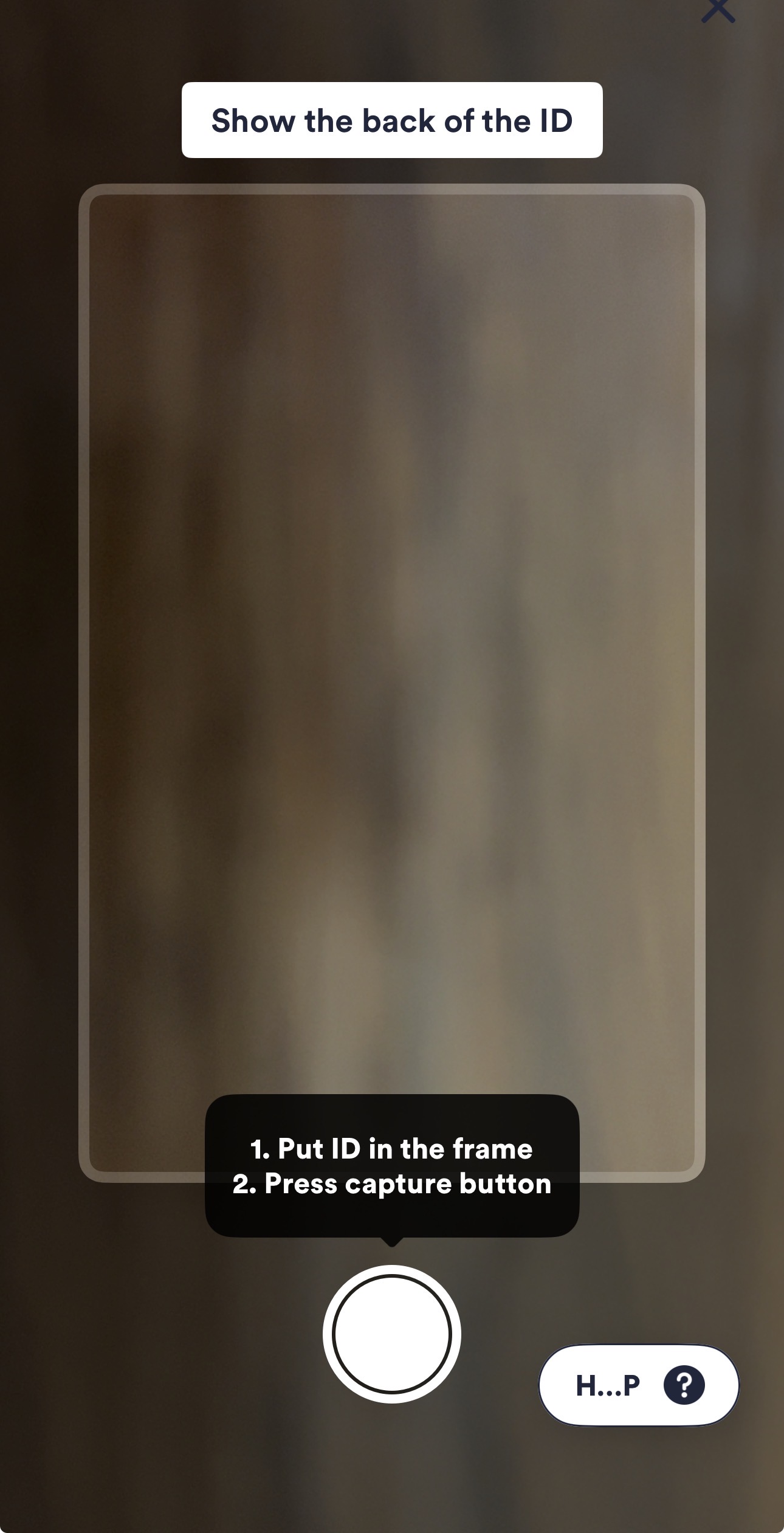 Manual capture (3).jpg